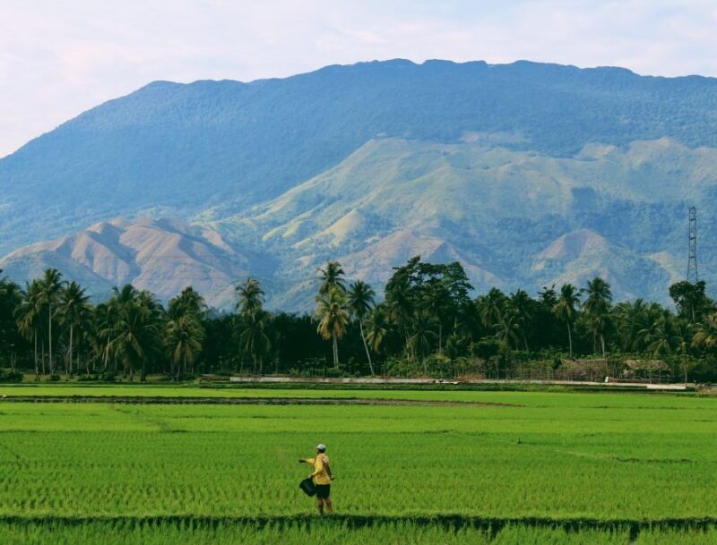 Regenerative Agriculture The Solution To Tackling Long Term Food Inflation