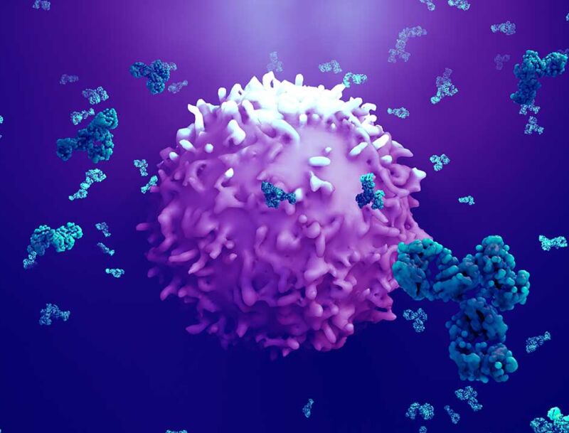 Antibodies,attack,a,cancer,cell,or,virus,3d,illustration