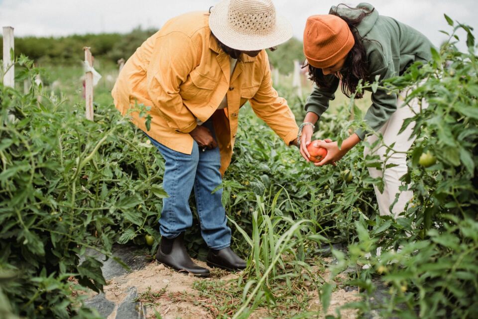 Agribusiness Agribusiness