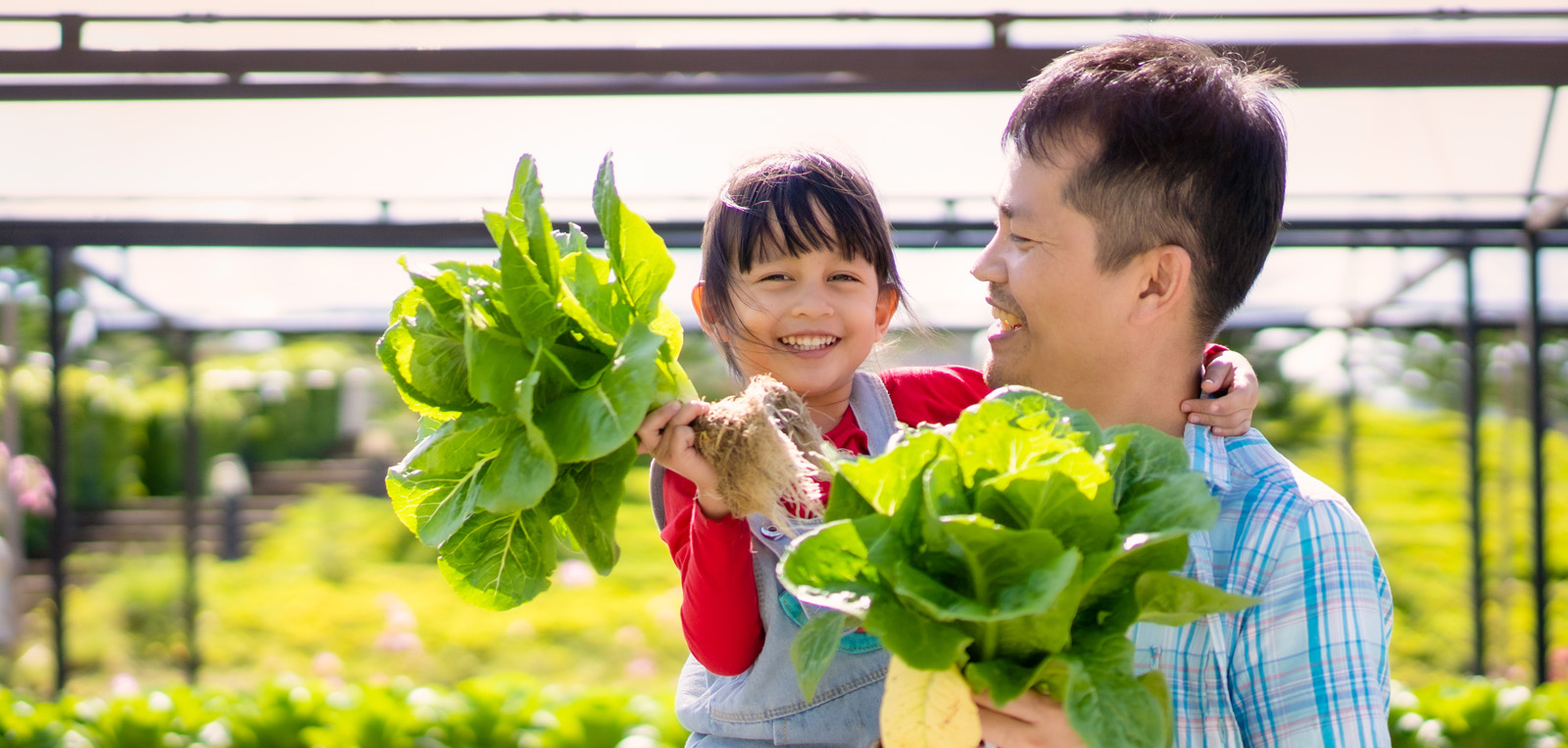 Food And Nutrition Spuring Com